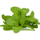 Menta