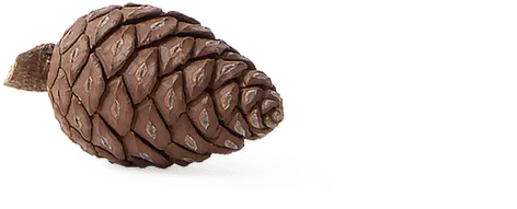 Dekorativni element